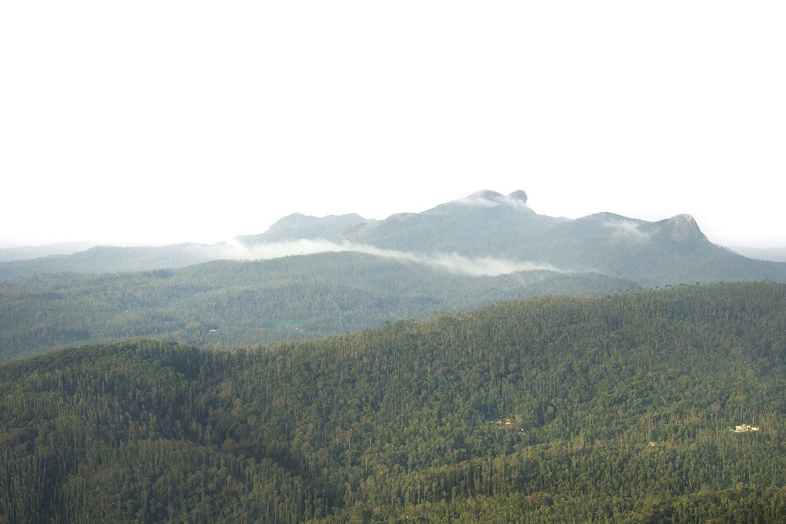 Misty layered Western Ghats ridges seen from Mullayanagiri, Chikmagalur