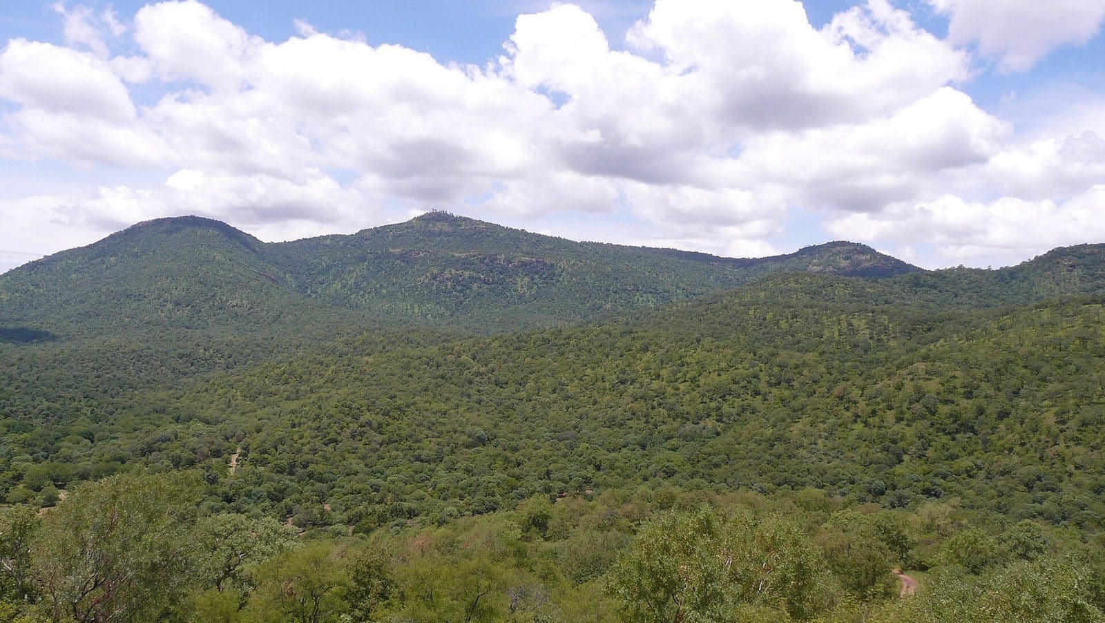 Forested Western Ghats hills near Kukke Subramanya